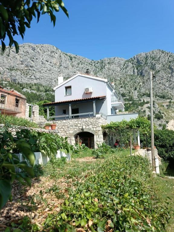 Holliday Home Alida With Jacuzzi Podgora Eksteriør billede